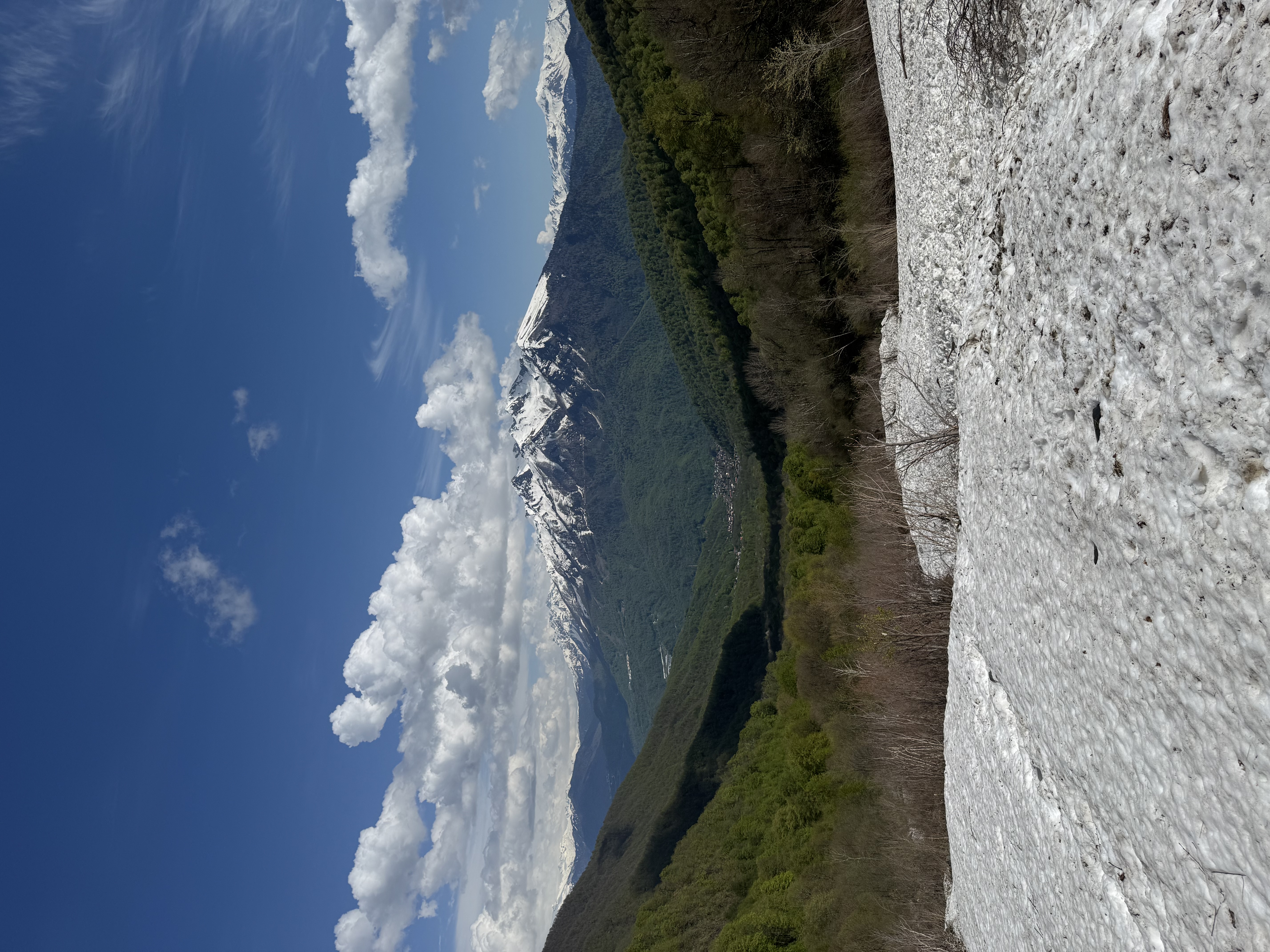 IMG_6123.jpeg